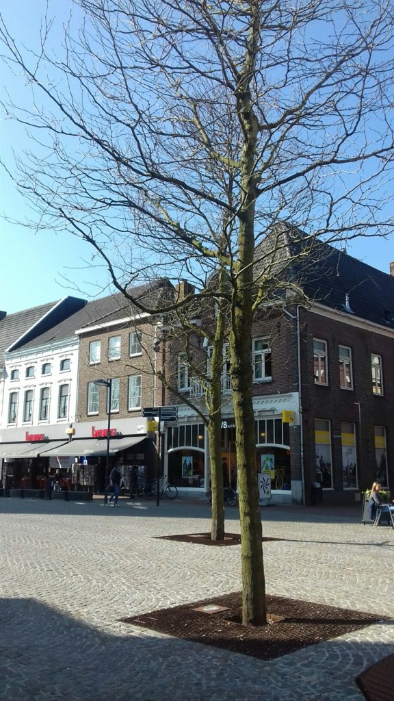 Weert - Marktplein