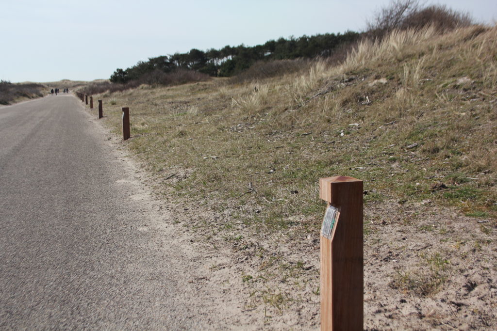 Sint Maartenszee – Weg Verlichting