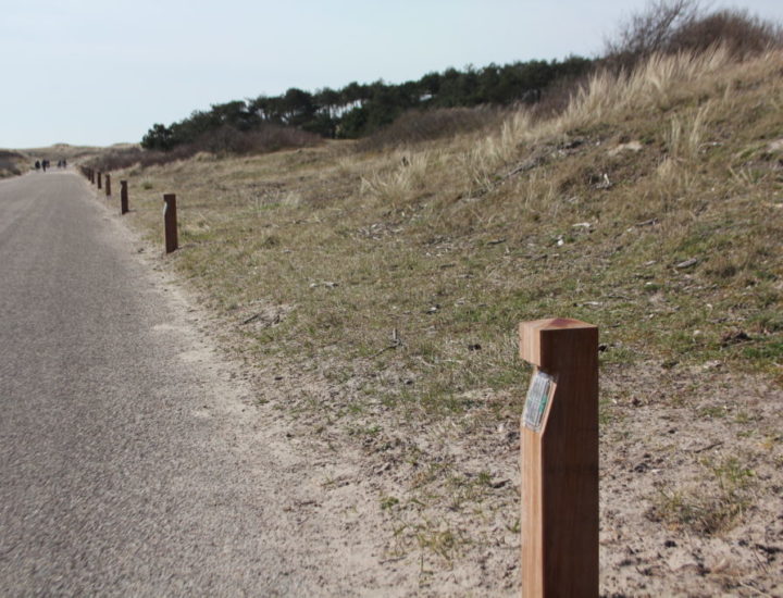 Sint Maartenszee – Weg Verlichting